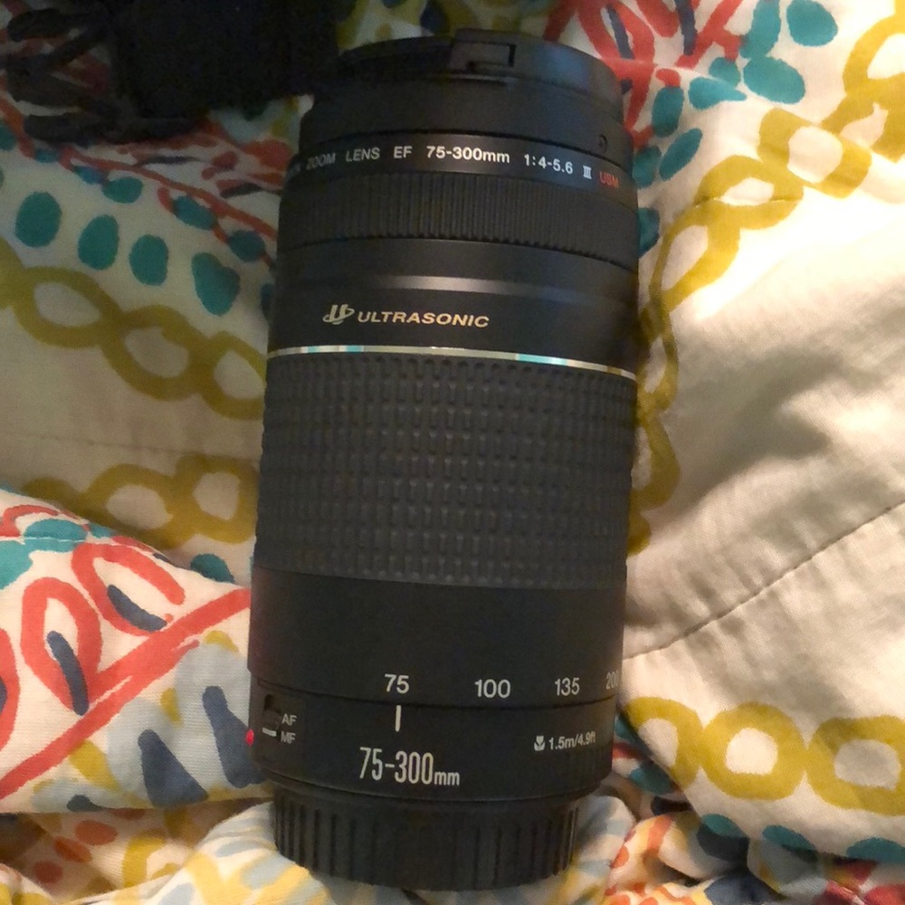 Canon Camera - image 4